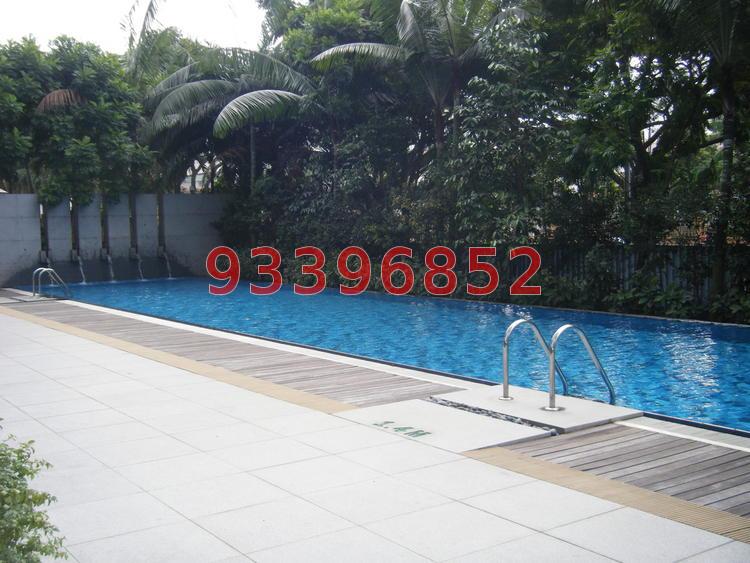 Novena Suites (D11), Apartment #73447892
